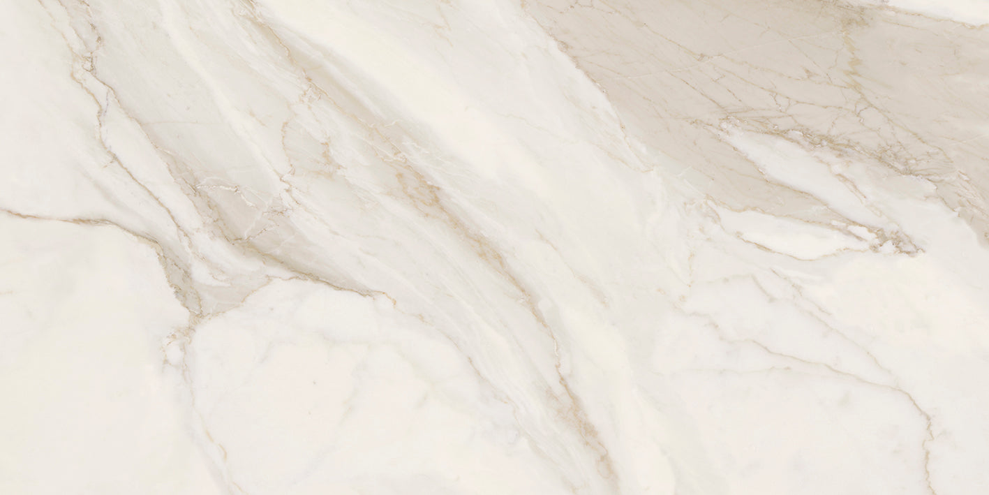 Calacatta Gold Nat 120 60x120cm