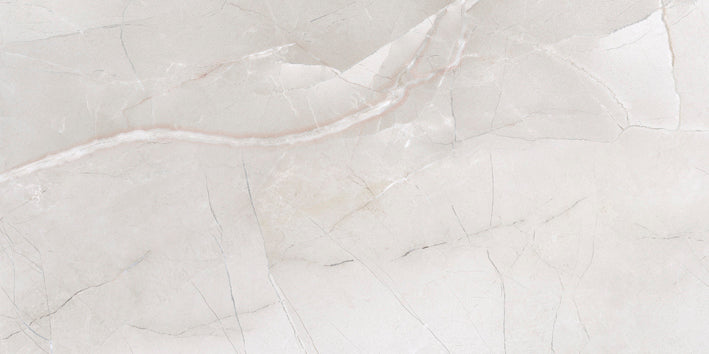 Passion lux 3060 Ice 30x60cm
