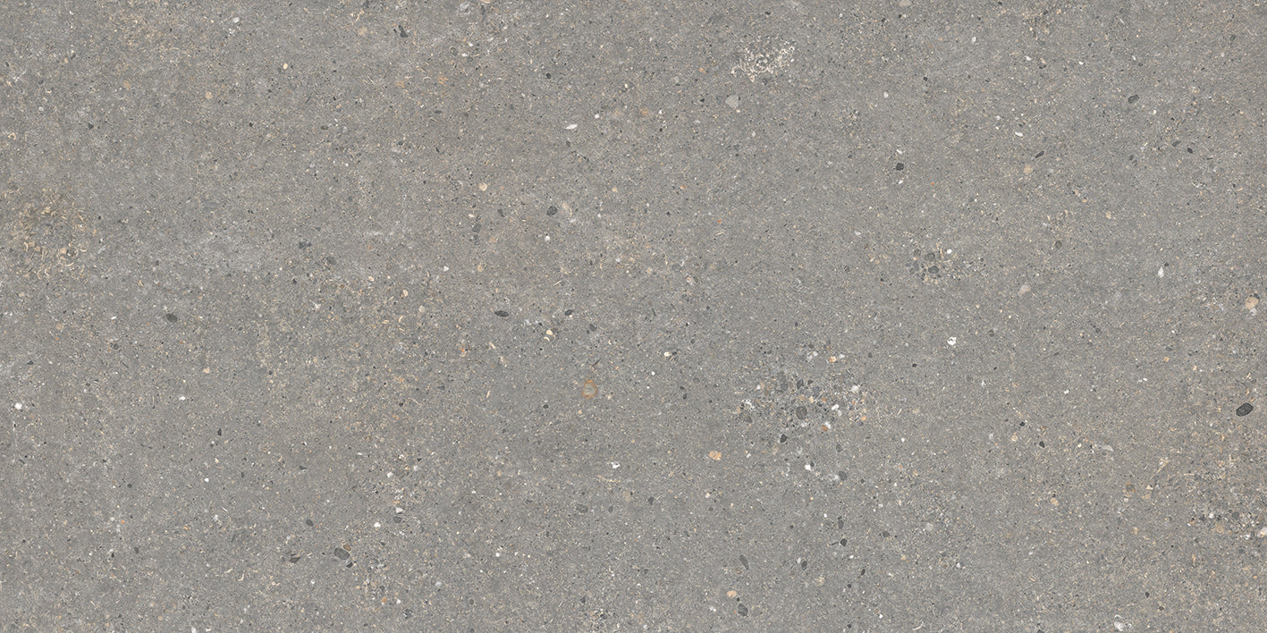 Vincent Stone Dry 120 Dark Grey 60x120cm