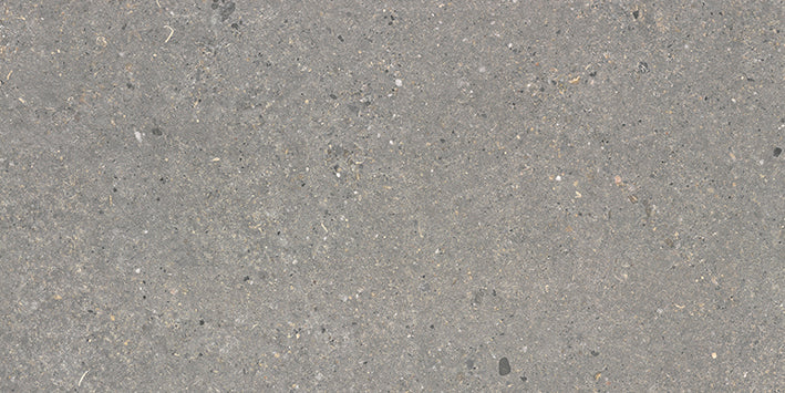 Vincent Stone Dry 3060 Dark Grey 30x60cm