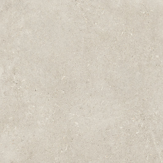 Shellstone 60 Grey 60x60cm