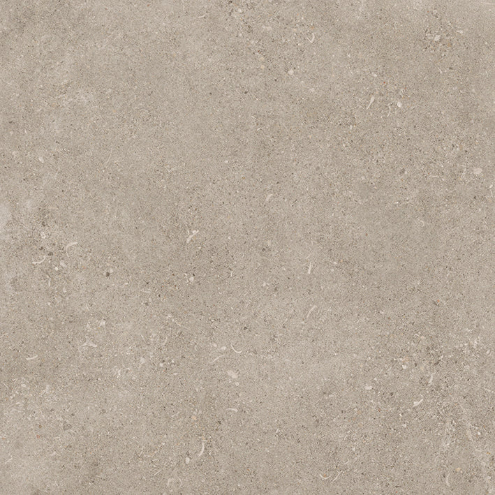 Shellstone Dry 60 Greige 60x60cm