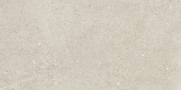 Shellstone 3060 Grey 30x60cm