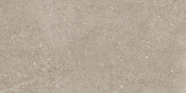 Shellstone Dry 3060 Greige 30x60cm