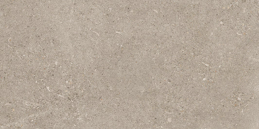 Shellstone Dry 3060 Greige 30x60cm