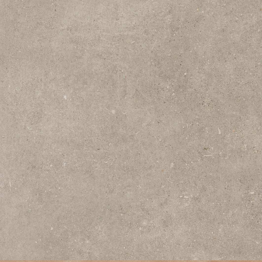 Shellstone Dry 9090 Greige 90x90cm