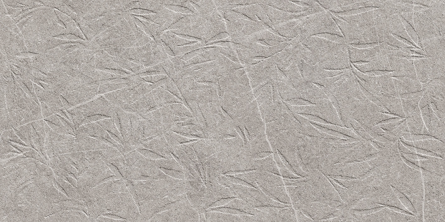 Bellver Blossom 120 Grey 60x120cm