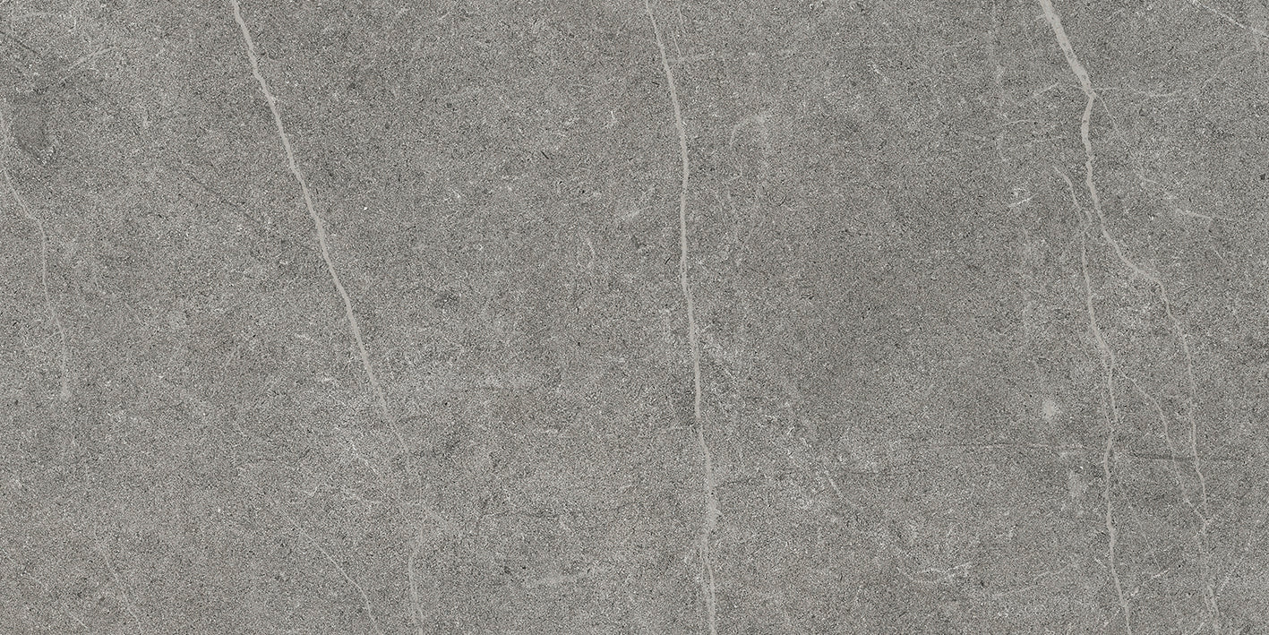 Bellver Dry 120 Dark Grey 60x120cm