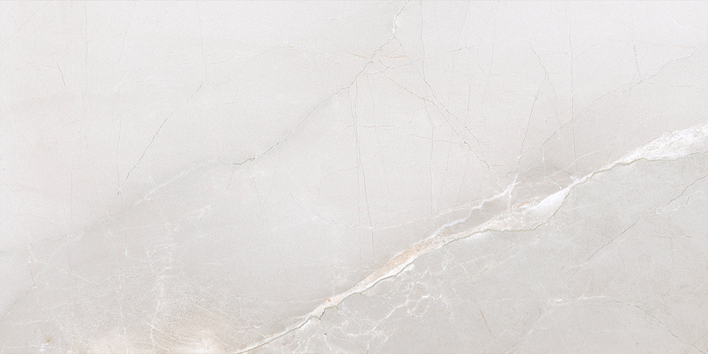 Passion lux 120 Ice 60x120cm