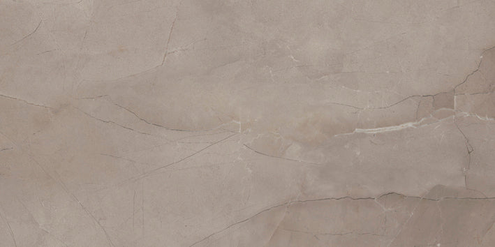 Passion lux 3060 Taupe 30x60cm