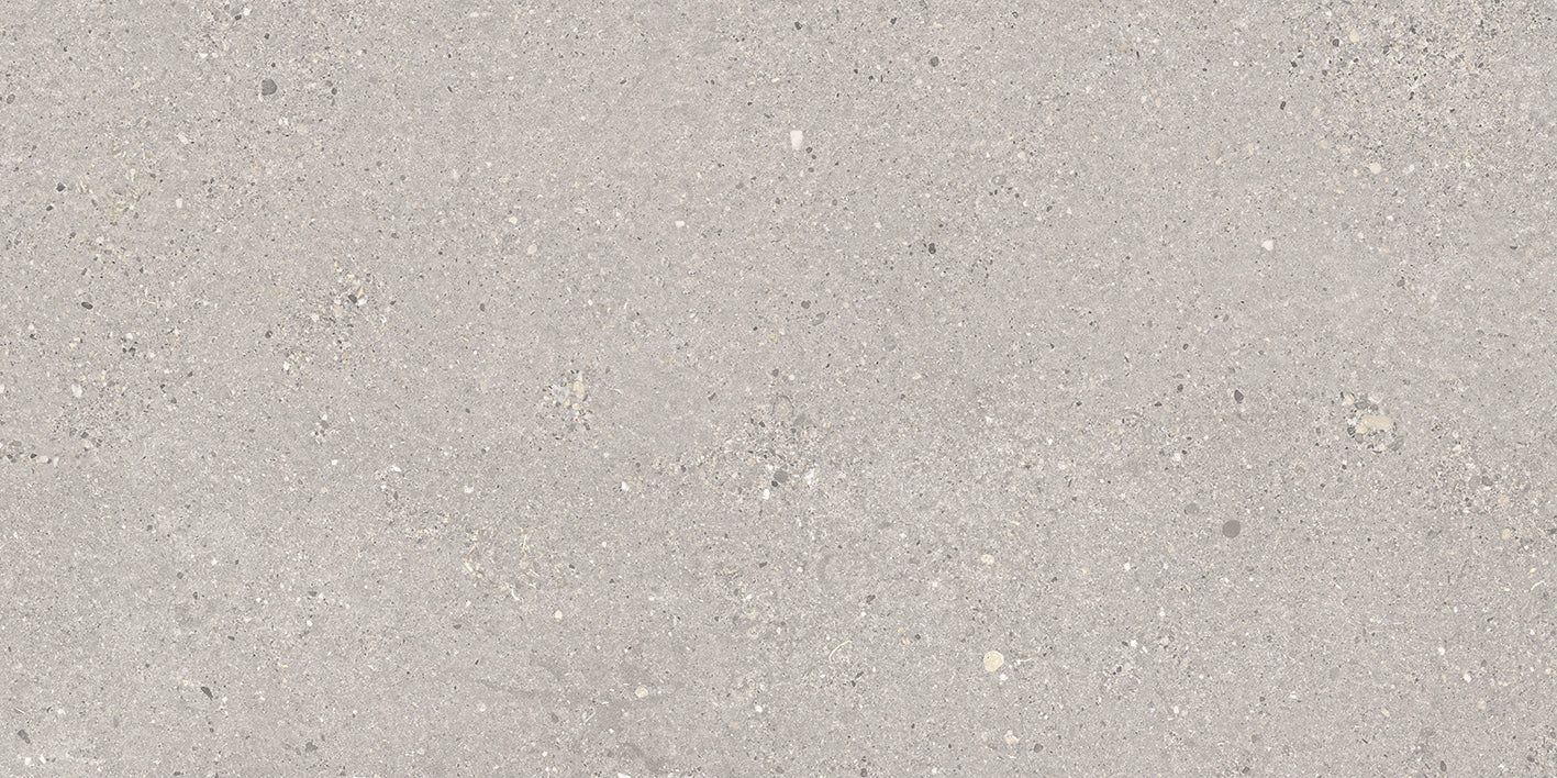 Vincent Stone 120 Grey 60x120cm