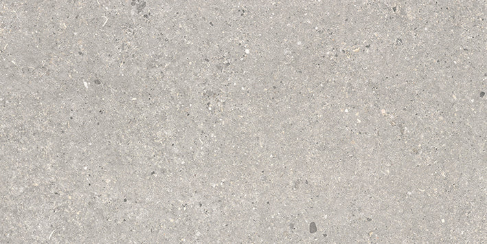 Vincent Stone Dry 3060 Grey 30x60cm