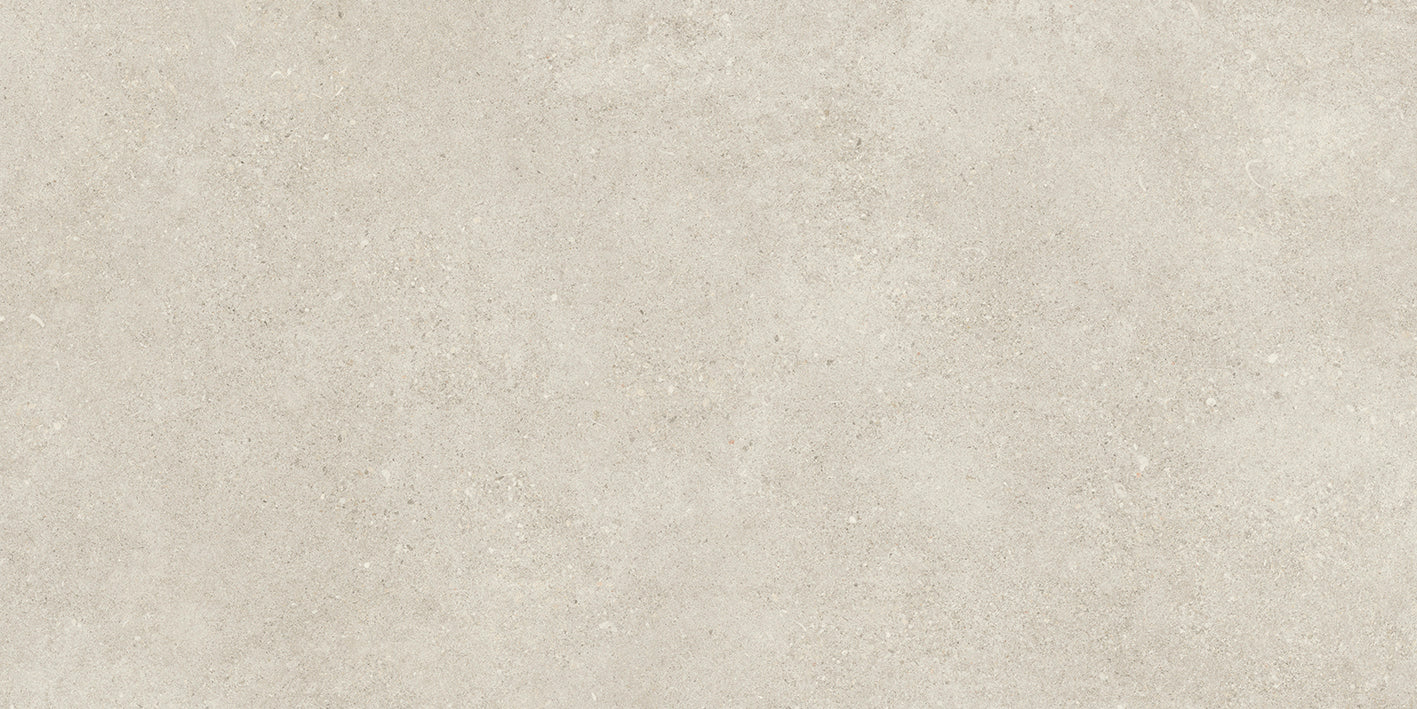 Shellstone 120 Grey 60x120cm