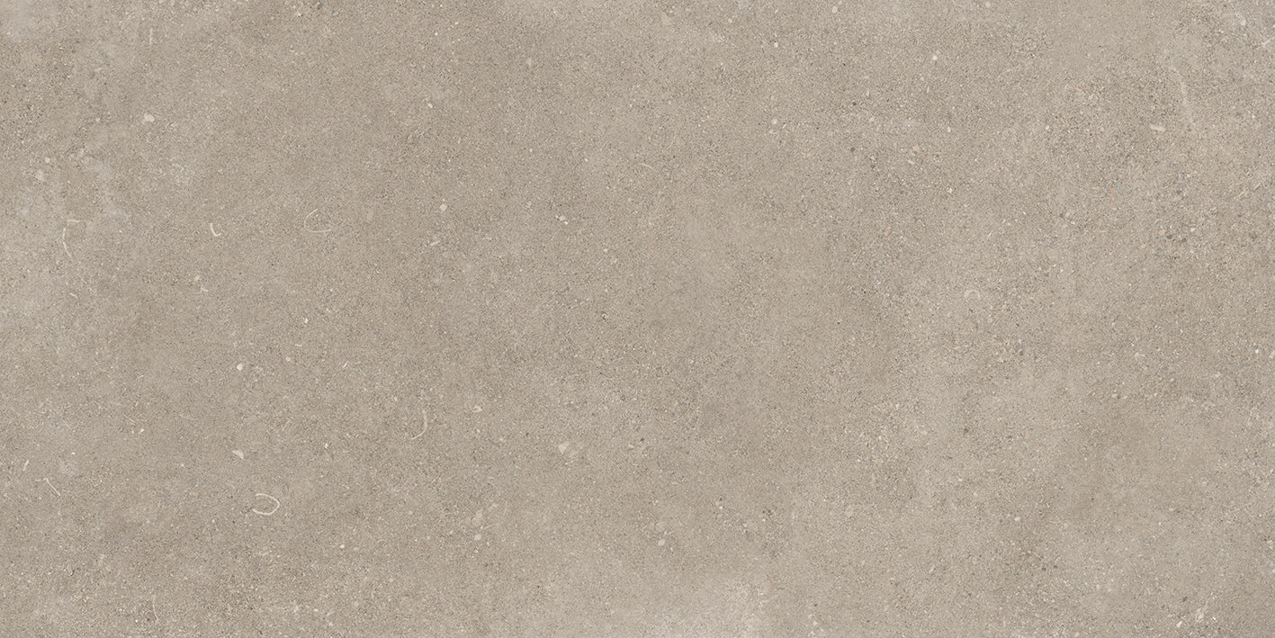 Shellstone 120 Greige 60x120cm