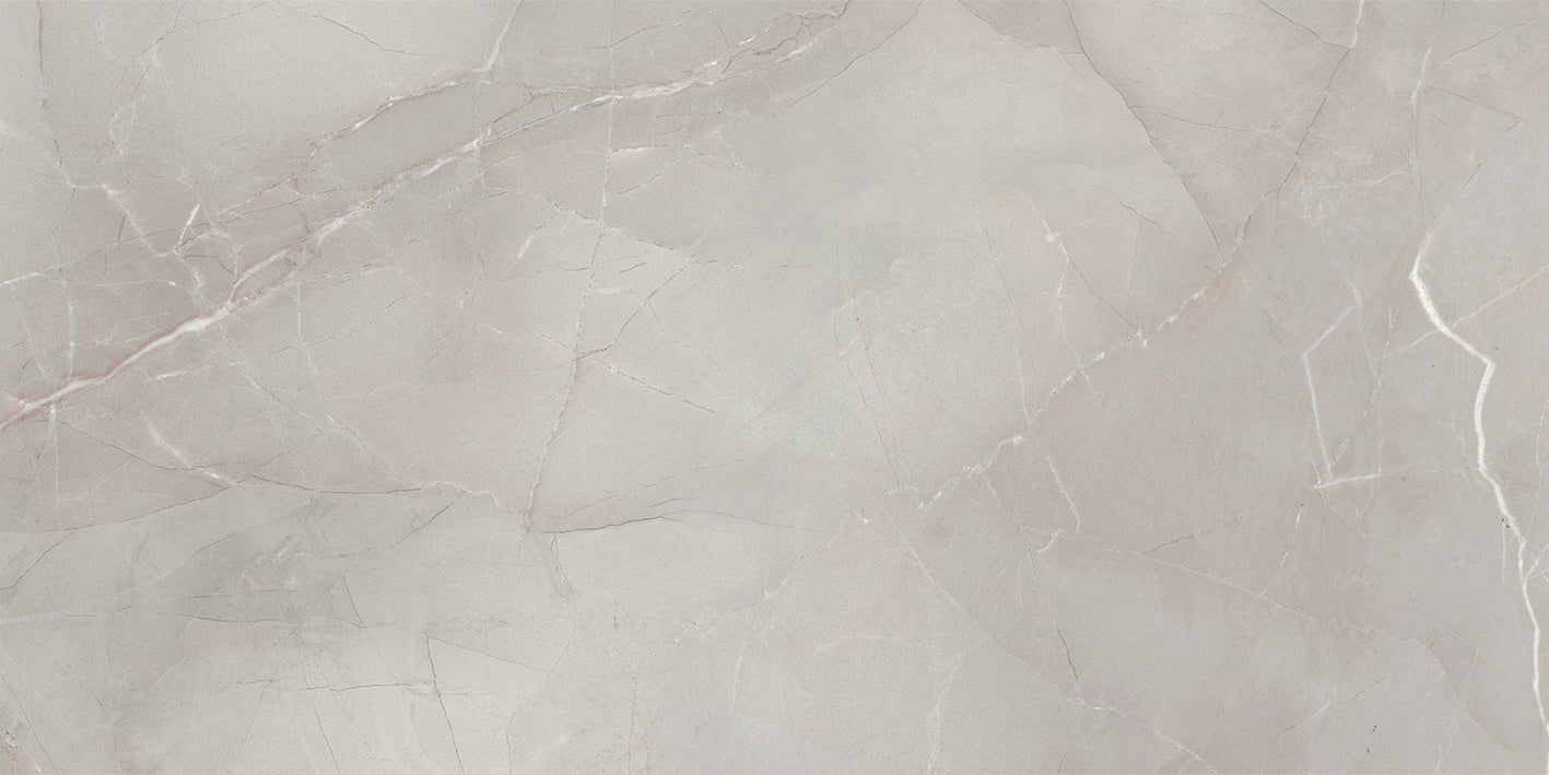 PASSION LUX 120 GREY (60x120 cm) - Interior Wall & Floor Tile - PASSION LIVING - Euro Tile & Stone