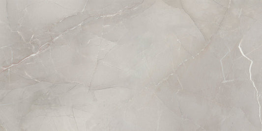 PASSION LUX 120 GREY (60x120 cm) - Interior Wall & Floor Tile - PASSION LIVING - Euro Tile & Stone