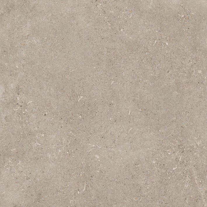 SHELLSTONE 60 GREIGE (60x60 cm) - Interior Wall & Floor Tile - SHELLSTONE KITCHEN - Euro Tile & Stone