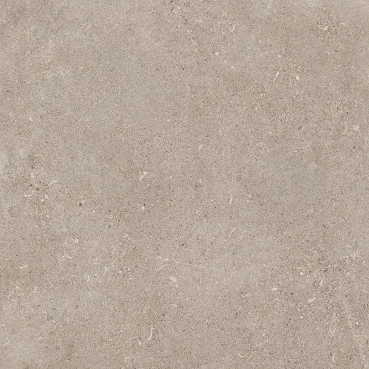 SHELLSTONE 60 GREIGE (60x60 cm) - Interior Wall & Floor Tile - SHELLSTONE KITCHEN - Euro Tile & Stone